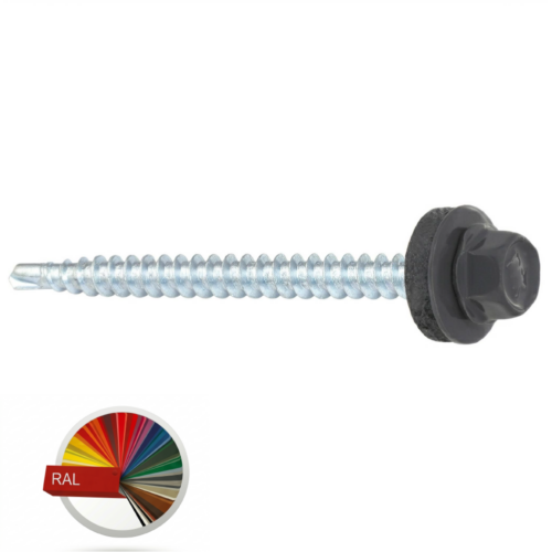 saxuravis WanWikebi 4,8×55