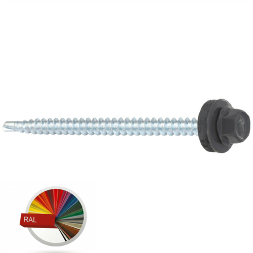 saxuravis WanWikebi 4,8×70