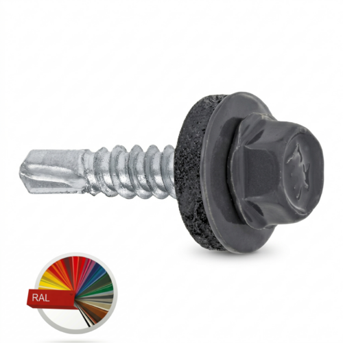 saxuravis WanWikebi 5,5×19