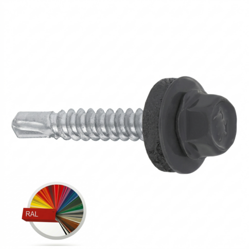 saxuravis WanWikebi 5,5×25